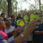 A woman explain about tree to childern