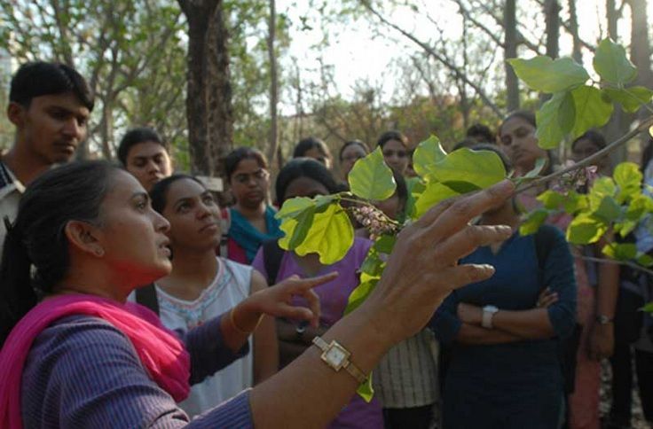 A woman explain about tree to childern