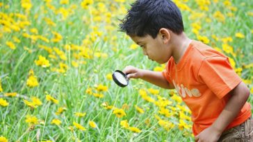 A kid playing in meddle of flowers