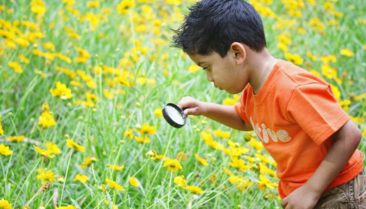 A kid playing in meddle of flowers