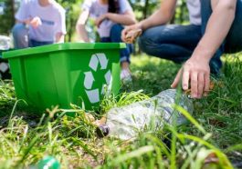 students cleaning park